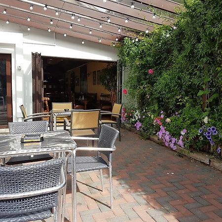 Myles Creek Hotel Kilkee Exterior foto